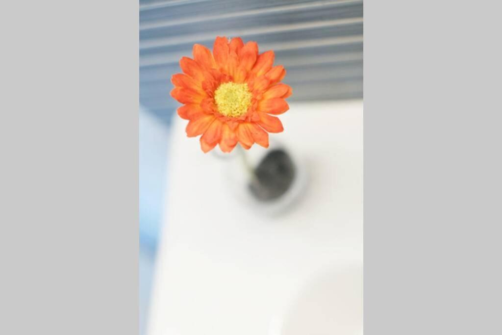 Apartamento Diseno A Cien Metros Del Mar. Torredembarra Esterno foto